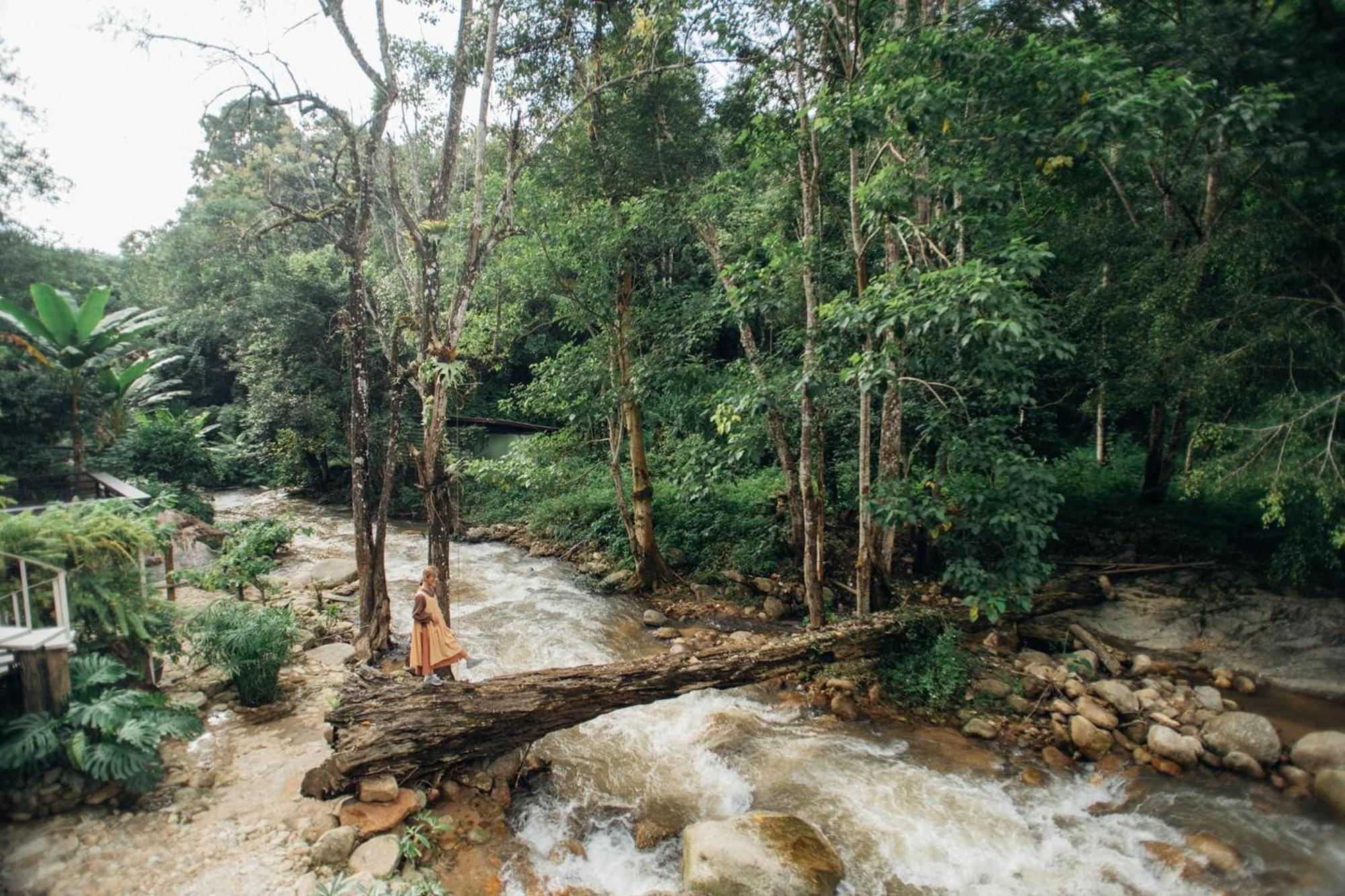 Taryn Tara Cafe And Stay Chiang Mai Luaran gambar